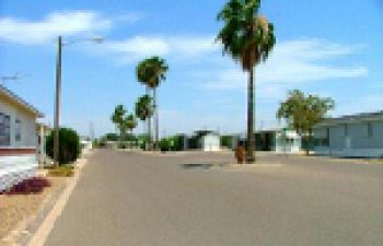 Image of Whiting