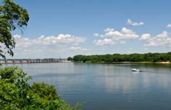 Image of Red Wing