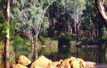 Image of Murray