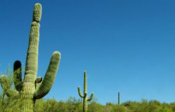 Image of Oro Valley