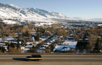 Image of Logan