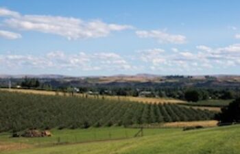 Image of Yakima