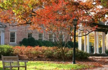 Image of Chapel Hill