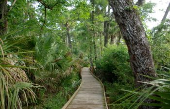 Image of Dunnellon