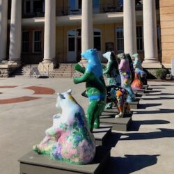 Hendersonville, North Carolina image 1
