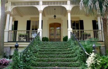 Image of Savannah