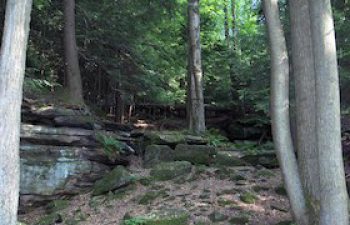 Image of Cuyahoga Falls