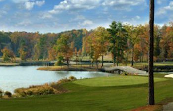 Image of Terryville