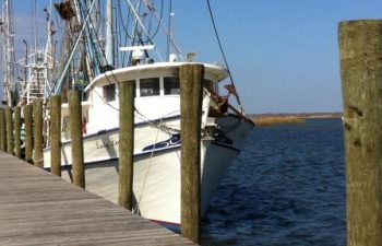 Image of Apalachicola