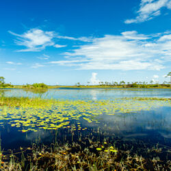 Port Saint Lucie, Florida image 1