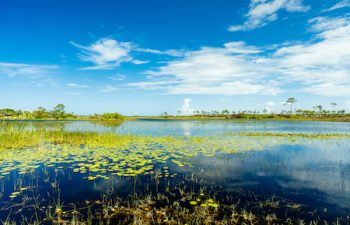 Image of Port Saint Lucie