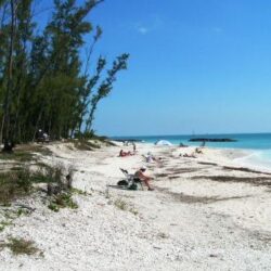 Sanibel-Captiva, Florida image 1