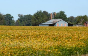 Image of Northern Neck