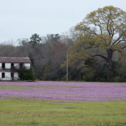 Northern Neck, Virginia image 2