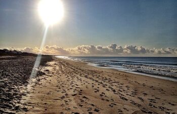 Image of Oak Island