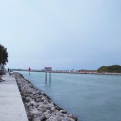 Venice, Florida image 2