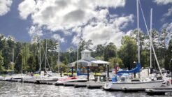 Image of Cypress Landing