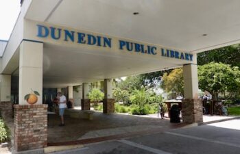 Image of Dunedin