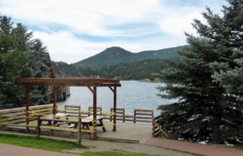 Image of Evergreen