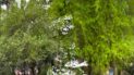 Image of Knollwood Village