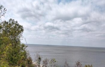 Image of Riverhead