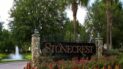 Image of Stonecrest
