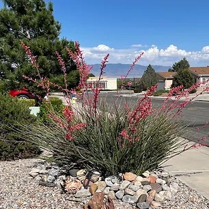 Sunrise Bluffs Best Places to Retire