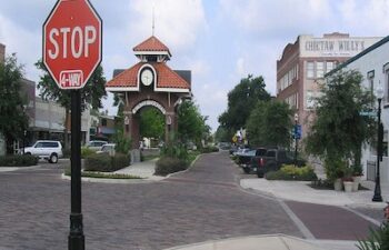 Image of Winter Garden