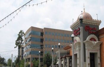 Image of The Woodlands