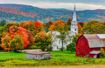 Image of Woodstock