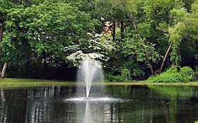 Cedar Glen West Active Retirement Community